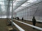 0025 Монтаж подвесных лотков для выращивания томатов в промышленной теплице