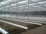 0029 Монтаж подвесных лотков для выращивания томатов в промышленной теплице