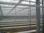 0031 Монтаж подвесных лотков для выращивания томатов в промышленной теплице